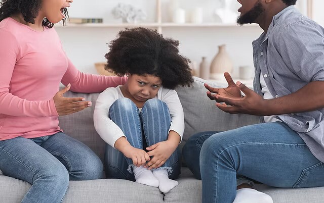 Expertise in Handling Family Law Cases